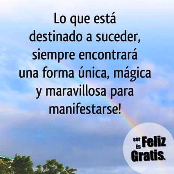 [PD] Post - 0209