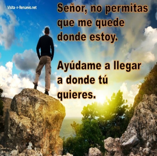 [PD] Post - 0224