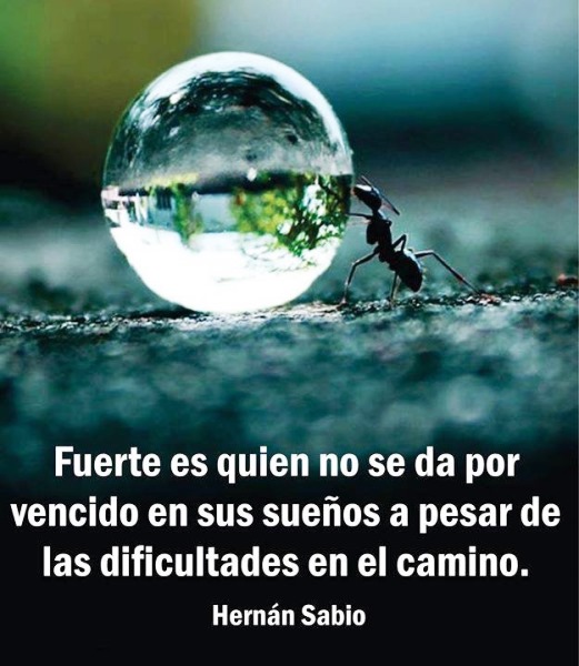 [PD] Post - 0385