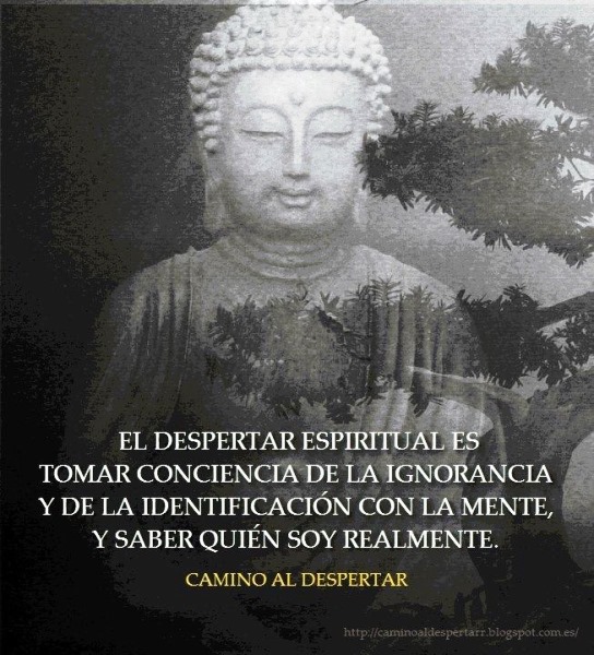[PD] Post - 0414