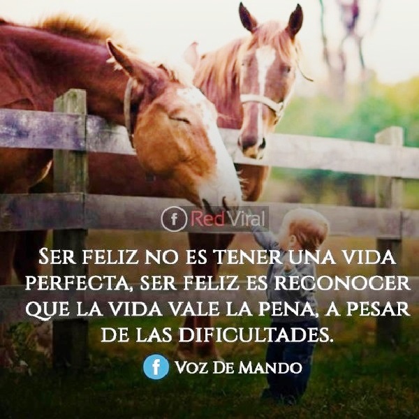 [PD] Post - 0428